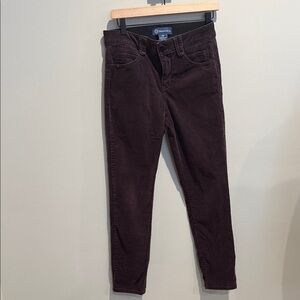 Democracy Dark Plum Corduroy Pant Petite